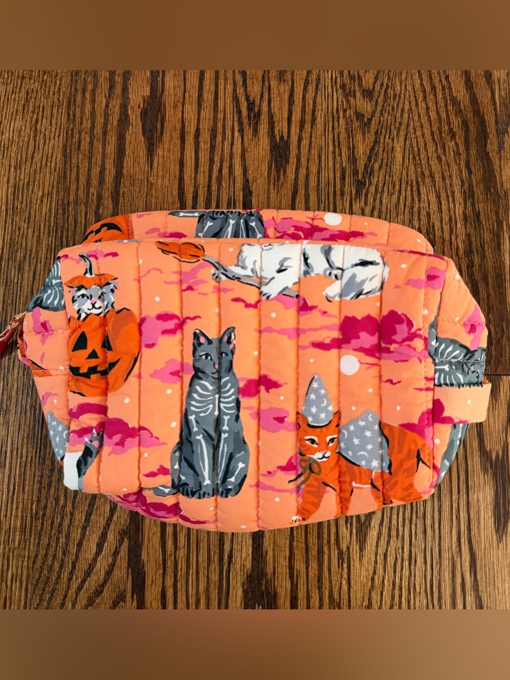 Printfresh Quilted Pouch in Orange Halloween Cats